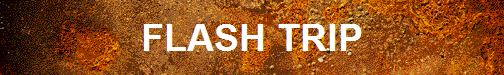 FLASH TRIP